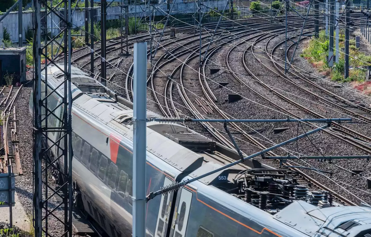 Une personne et un chien morts après avoir été percutés par un train