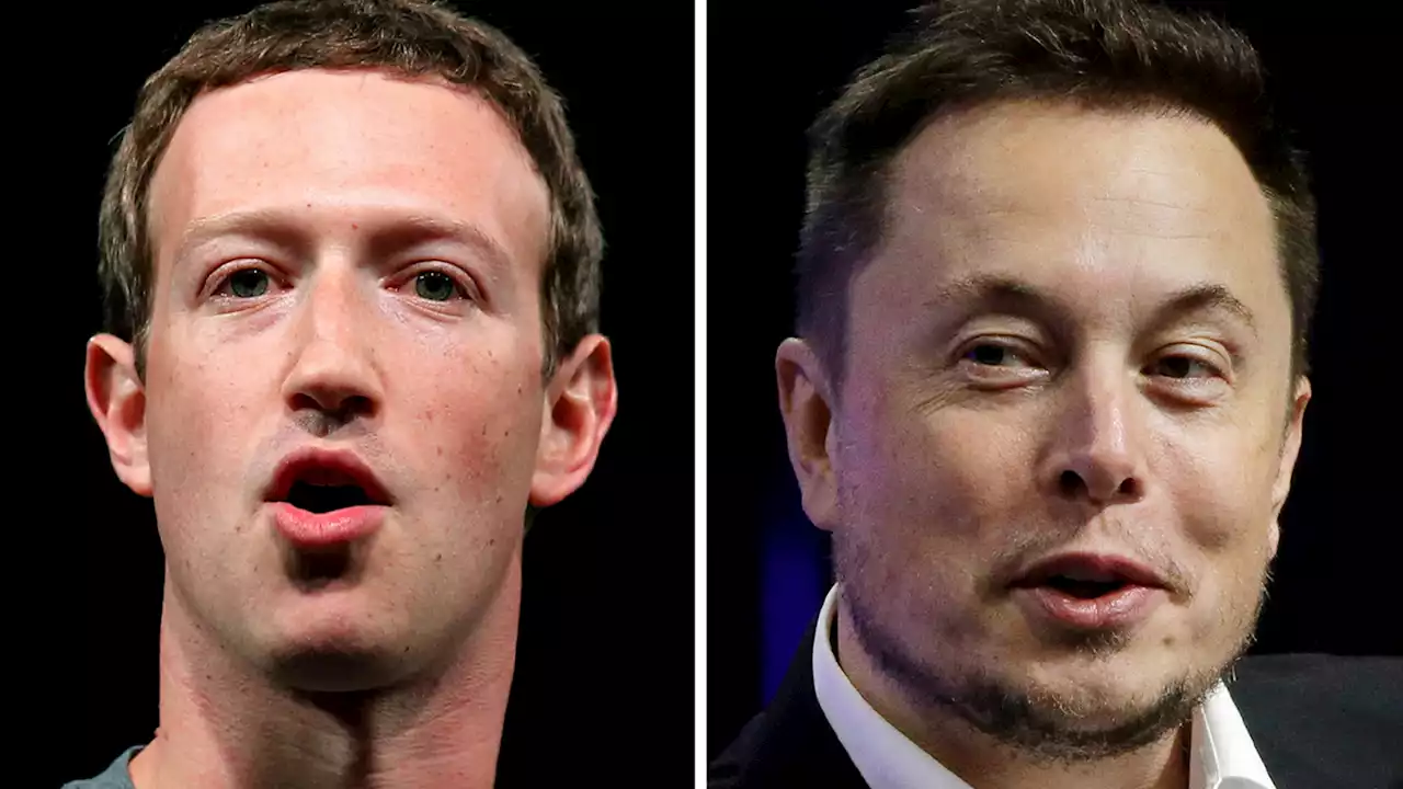 Elon Musk says his fight with Mark Zuckerberg will be streamed on X