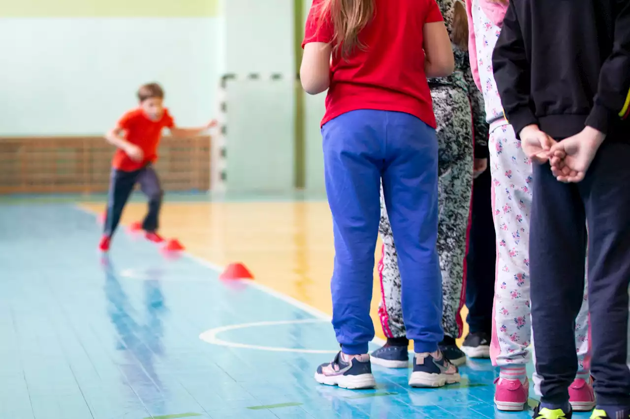 Concorso educazione motoria scuola primaria: tutte le info su bando, posti, domande e prove d'esame