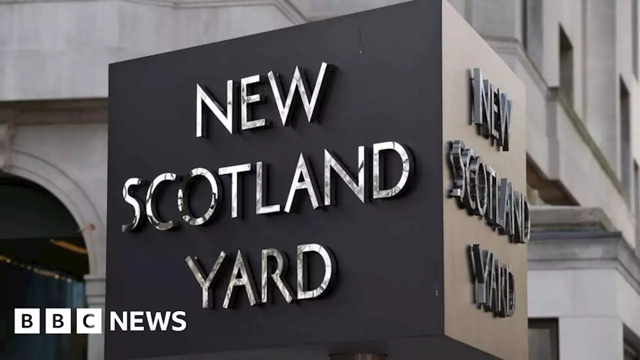 Met Police investigated over death in custody