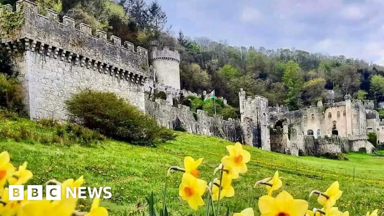 I'm A Celebrity: Gwrych castle granted £2m for repairs