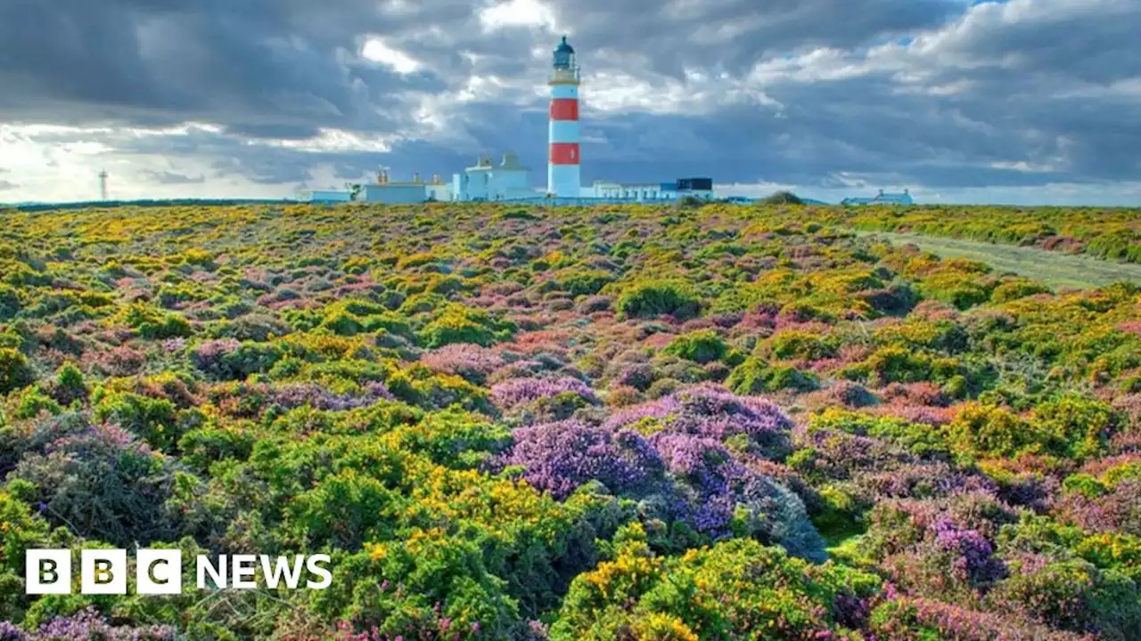 New family focus for Isle of Man nature discovery centre