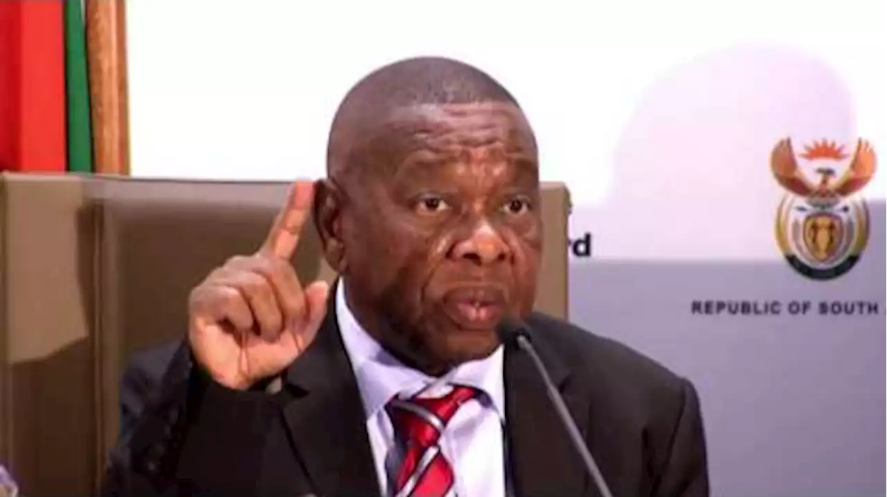 Blade Nzimande tells Unisa he is putting it under administration