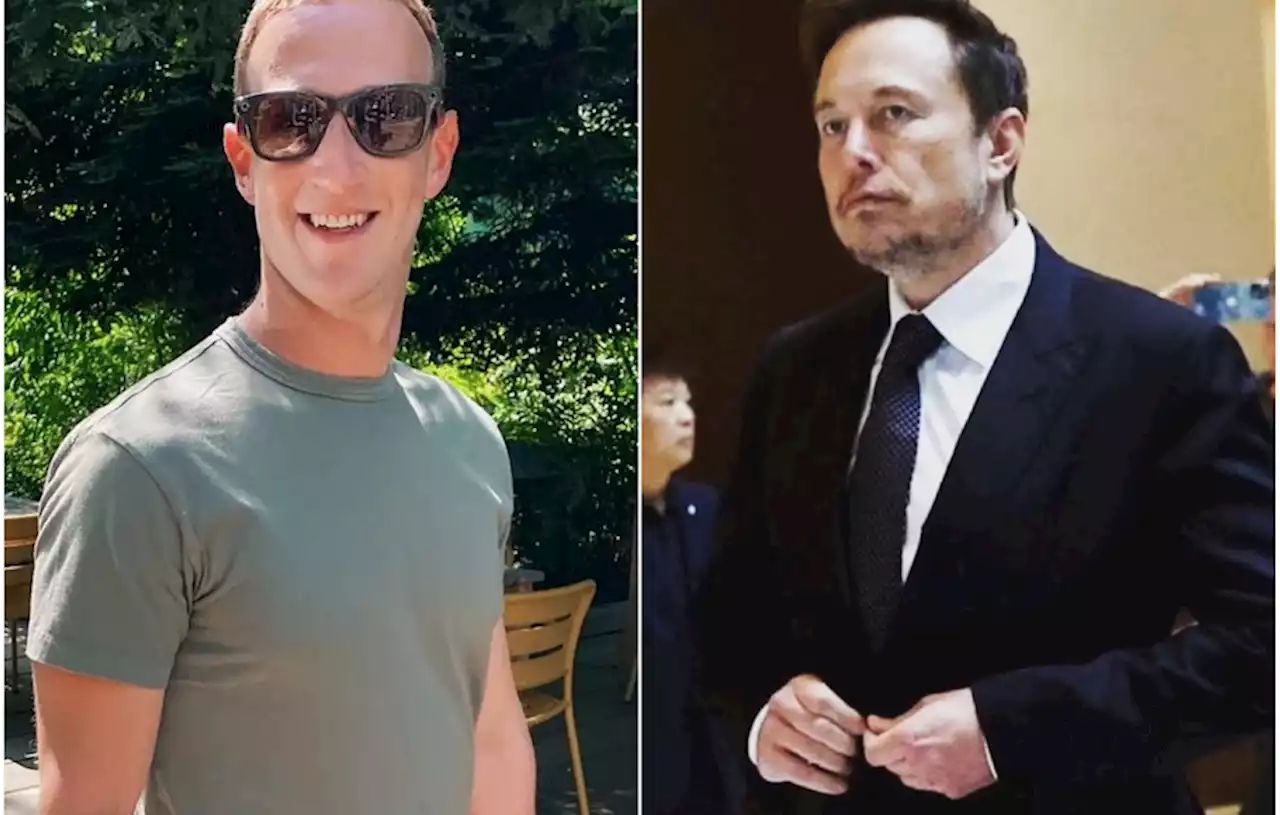 Mark Zuckerberg Siap Bertarung, Elon Musk Beralasan Sakit Punggung