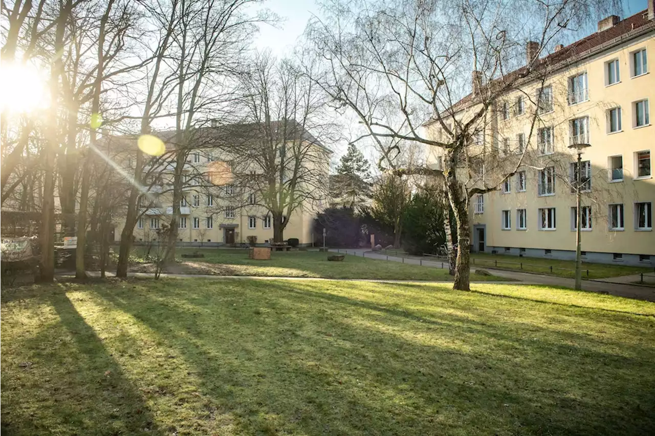 Die Linke verlangt Moratorium: Grüne Innenhöfe in Berlin sollen gerettet werden