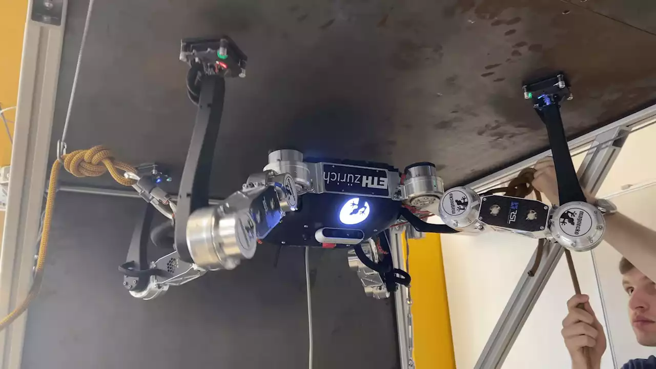 'Magnecko' robot is like a giant mechanical spider crossed with a gecko