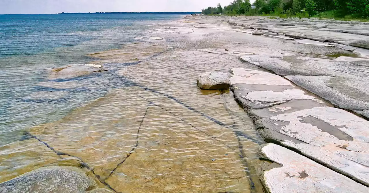 This park in Ontario has crystal clear water and million-year-old fossils