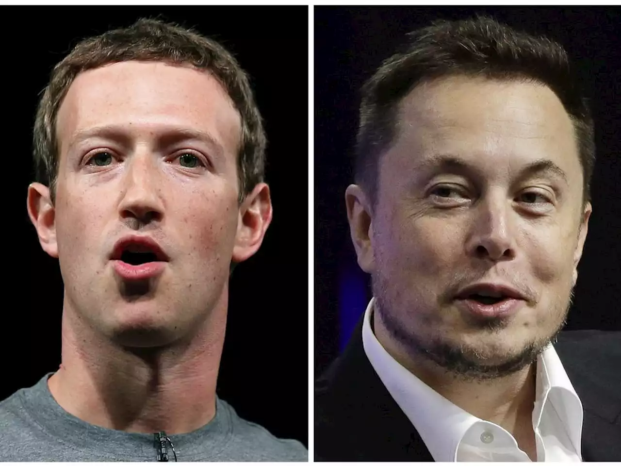 Musk says his cage fight with Zuckerberg will be streamed on X