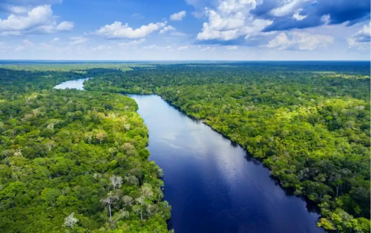 MinAmbiente presentó propuestas para salvar la selva en Cumbre Amazónica de Brasil