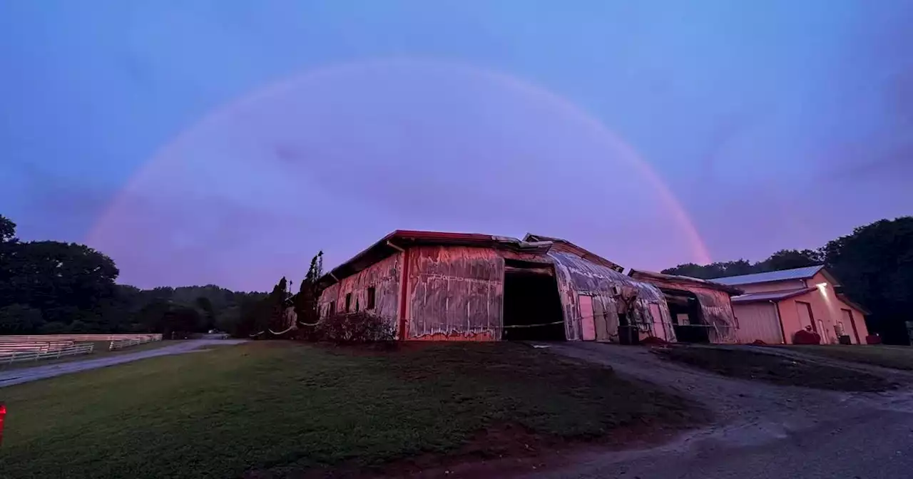 26 Horses Killed in Georgia Barn Fire: 'Devastating Loss'