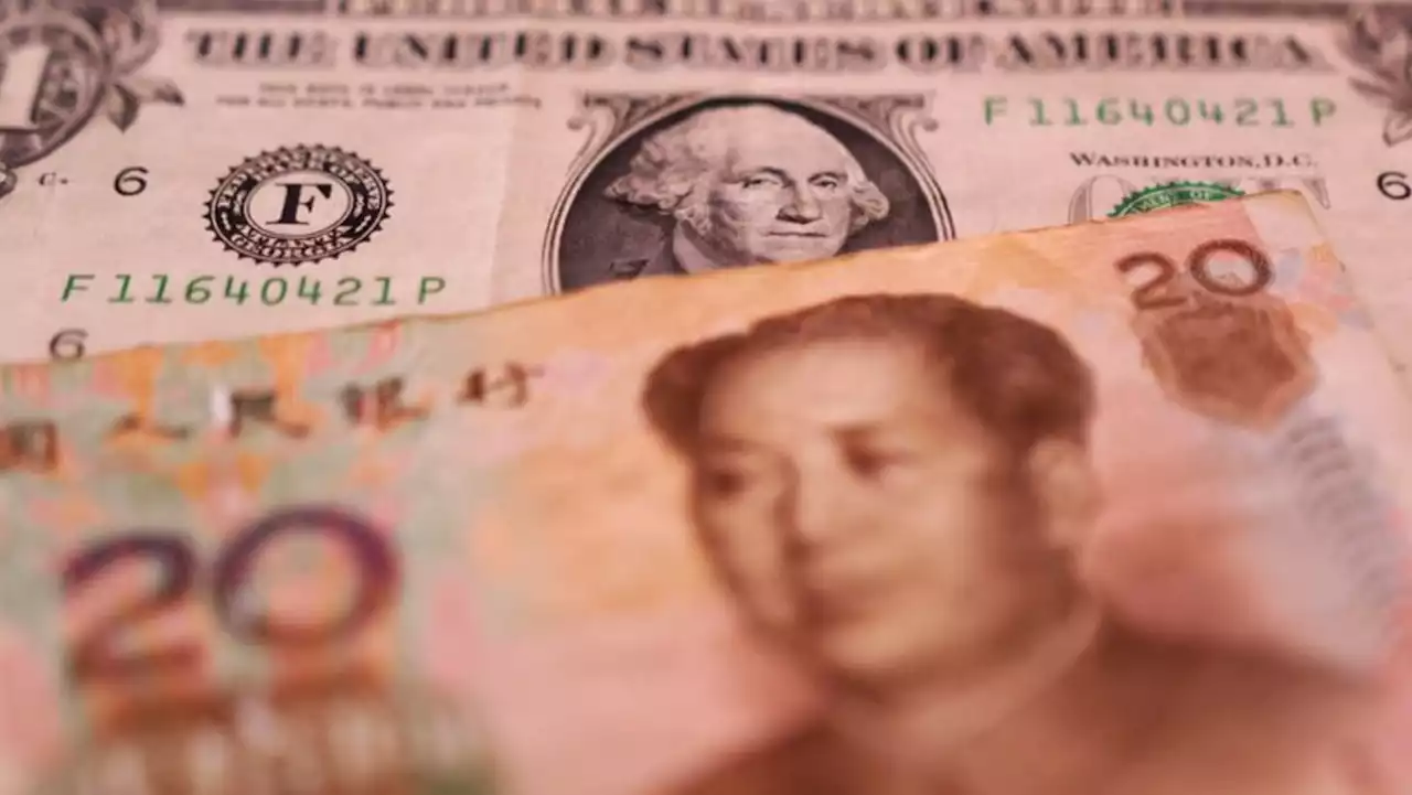 China forex reserves rise to $3.204 trln in July