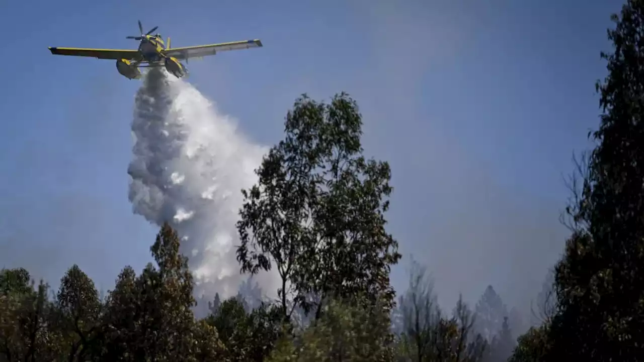 Spain, Portugal battle wildfires as temperatures soar