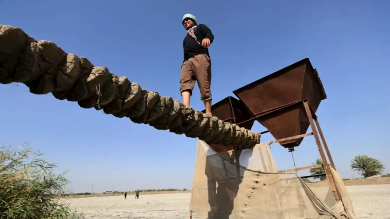 Water-stressed Iraq dries up fish farms