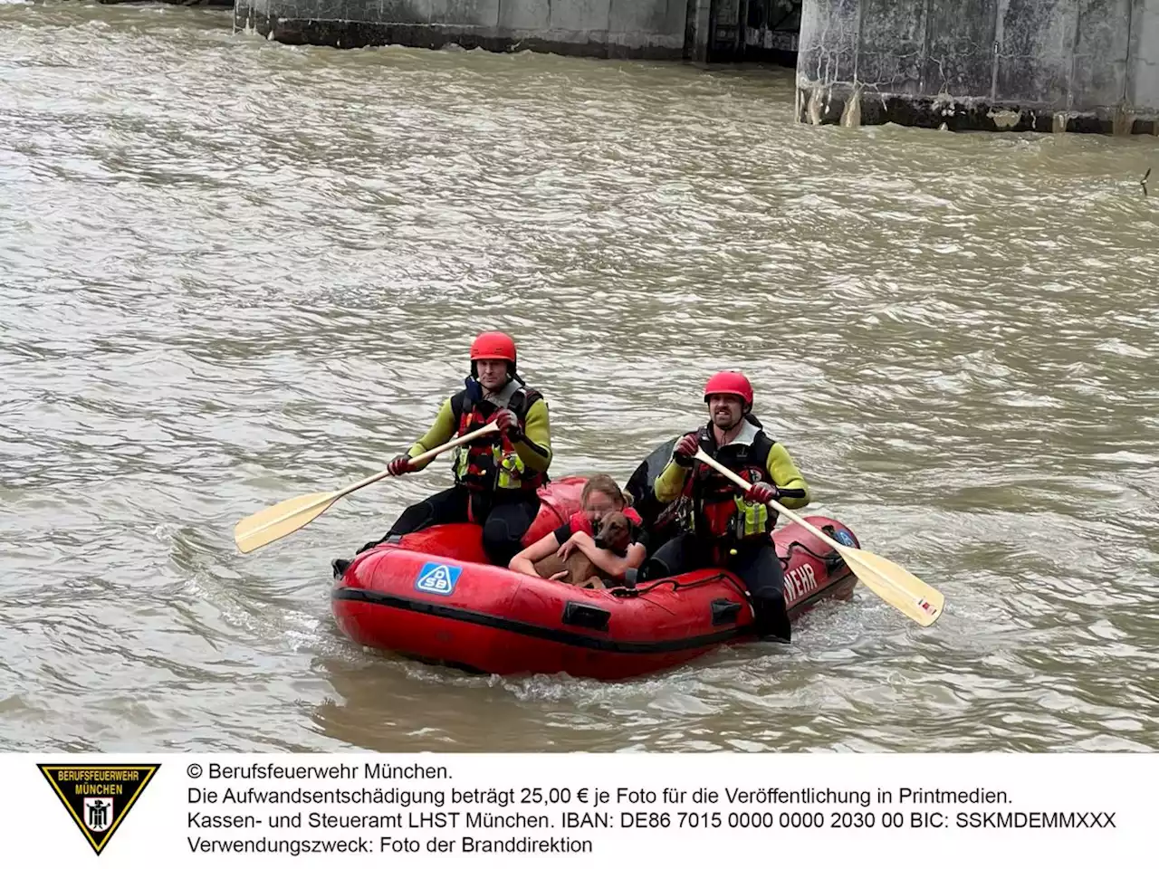 Hund Cuba springt vom Wehr in die Isar