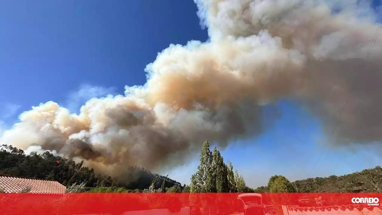 Cerca de mil bombeiros combatem fogos em Odemira, Ourém e Mangualde