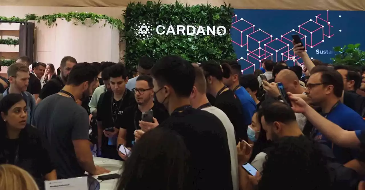 Cardano Blockchain Transactions Jumped 49% Last Quarter as ADA Sentiment Grew