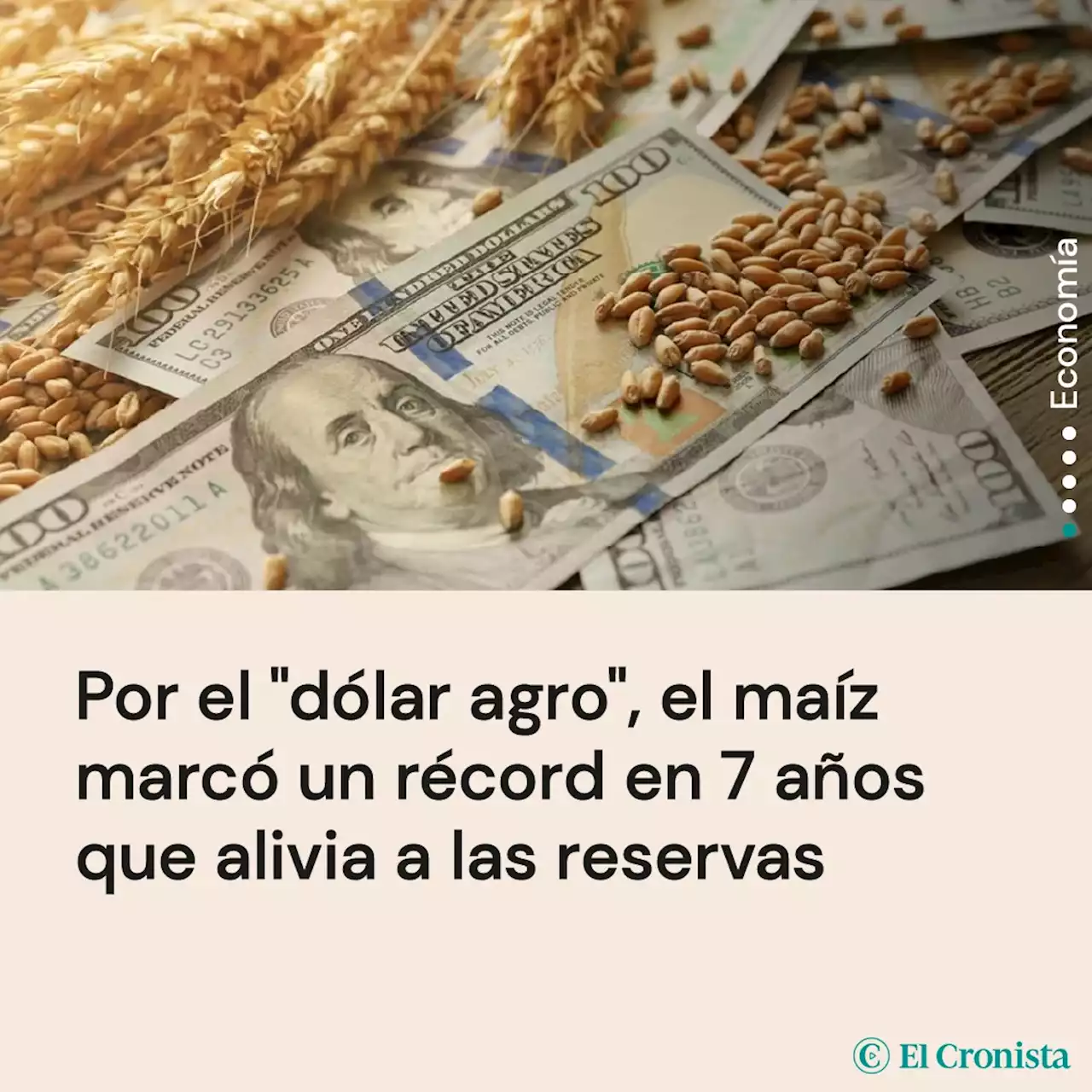 Por el 'd�lar agro', el ma�z marc� un r�cord en 7 a�os que alivia a las reservas