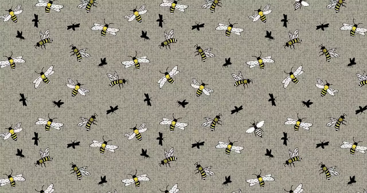 Tricky buzzy bee brain teasers challenge even those with sharp vision