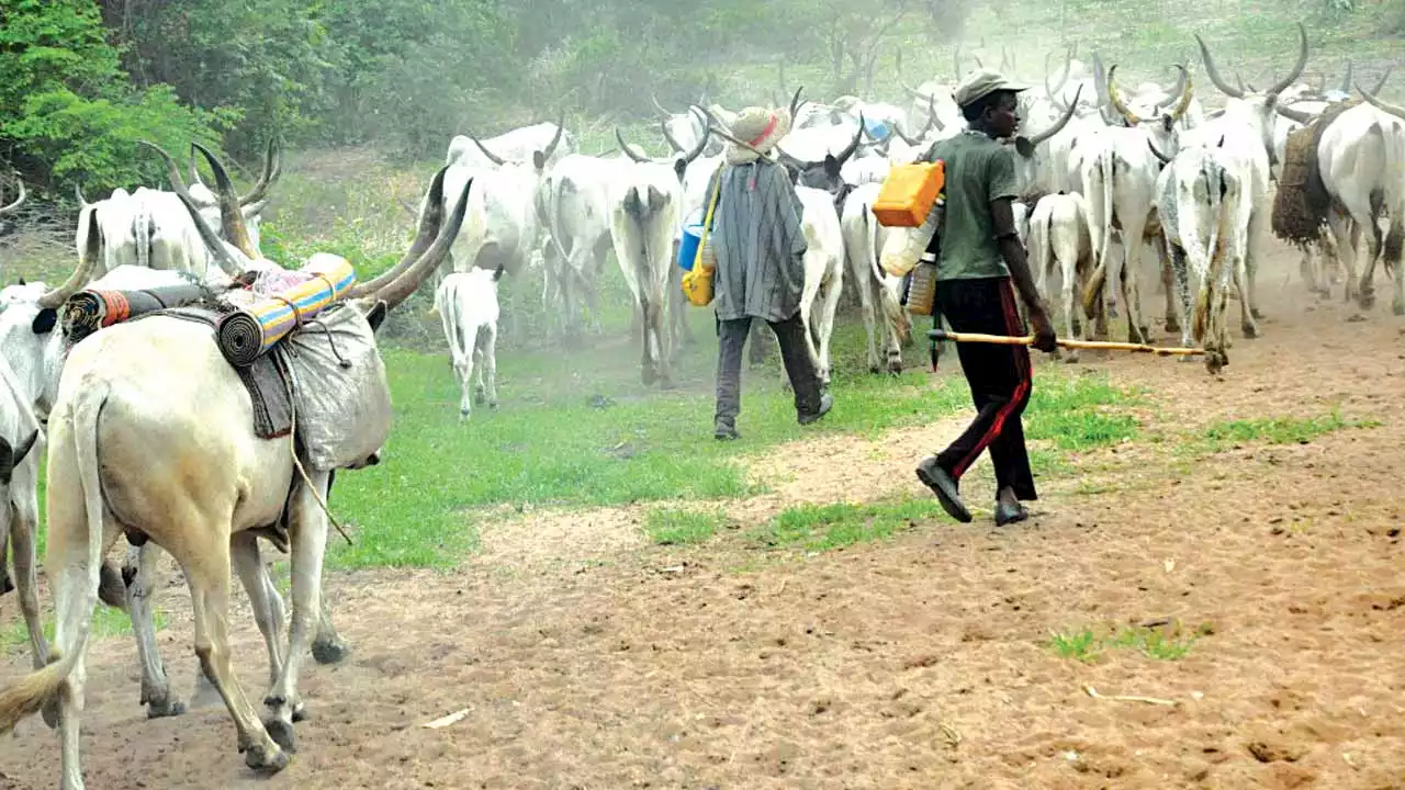 We'll end all killings during President Tinubu's administration - Fulani herders