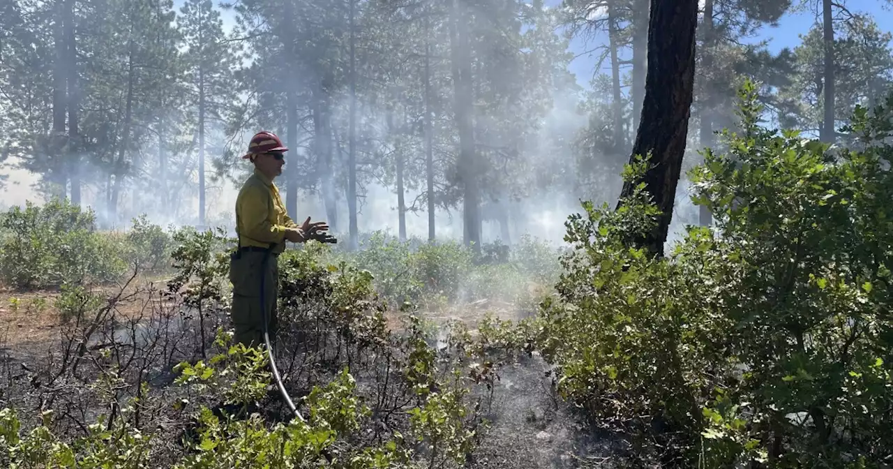 Dry Lake Fire in San Juan National Forest reaches 1,372 acres, almost 50% containment