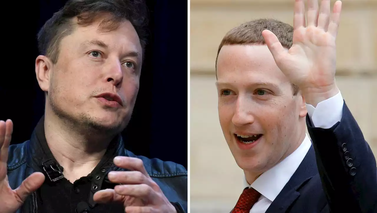 Elon Musk und Mark Zuckerberg: So provozieren sie sich vor dem Kampf