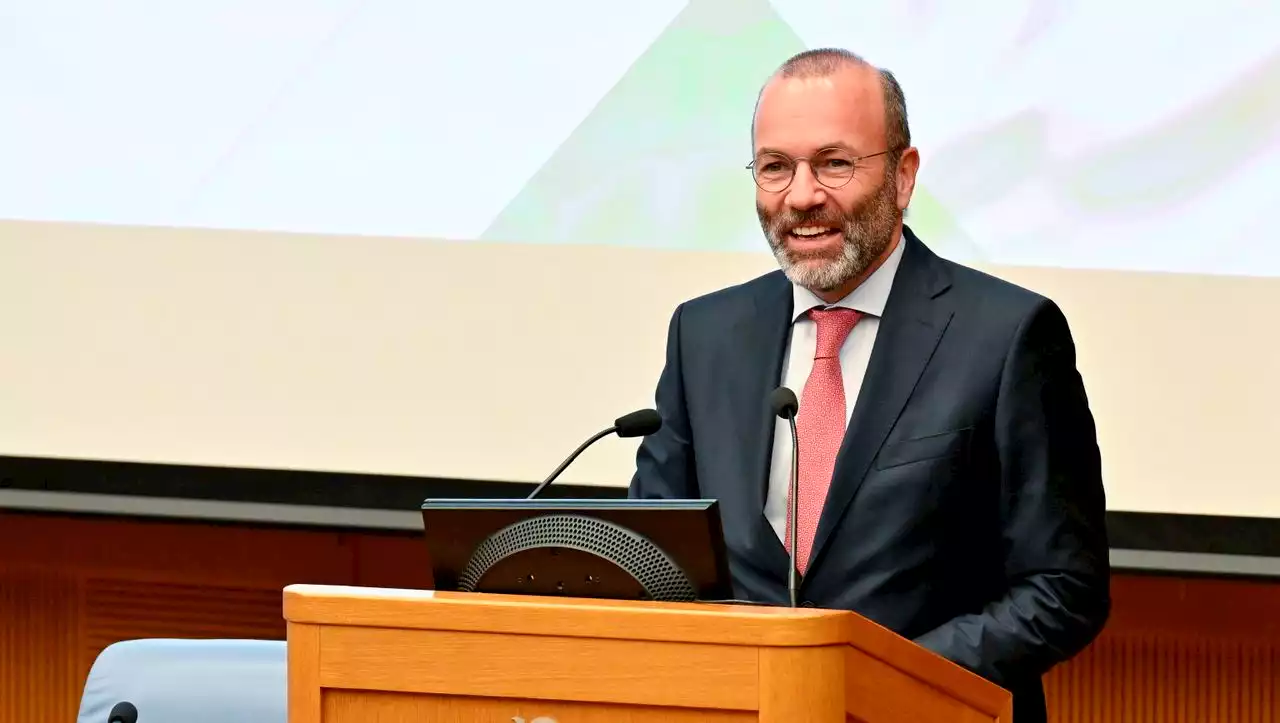 Manfred Weber kritisiert Europawahl-Programm der AfD