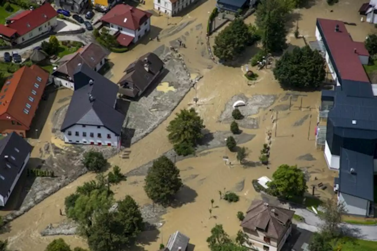 Vlaams gezin dat noodweer in Slovenië kon ontvluchten, vindt vermiste hond terug