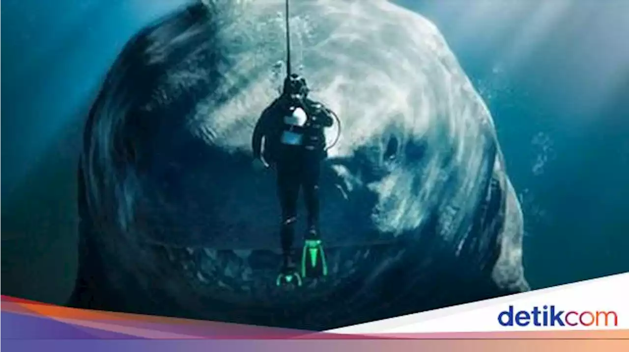 Mungkinkah Megalodon Penguasa Lautan Masih Ada di Dunia?