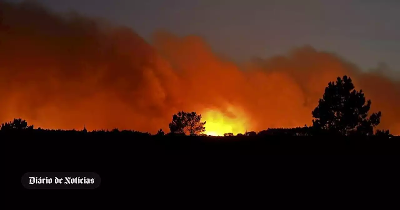 Cerca de 1000 bombeiros combatem fogos em Odemira, Ourém e Mangualde