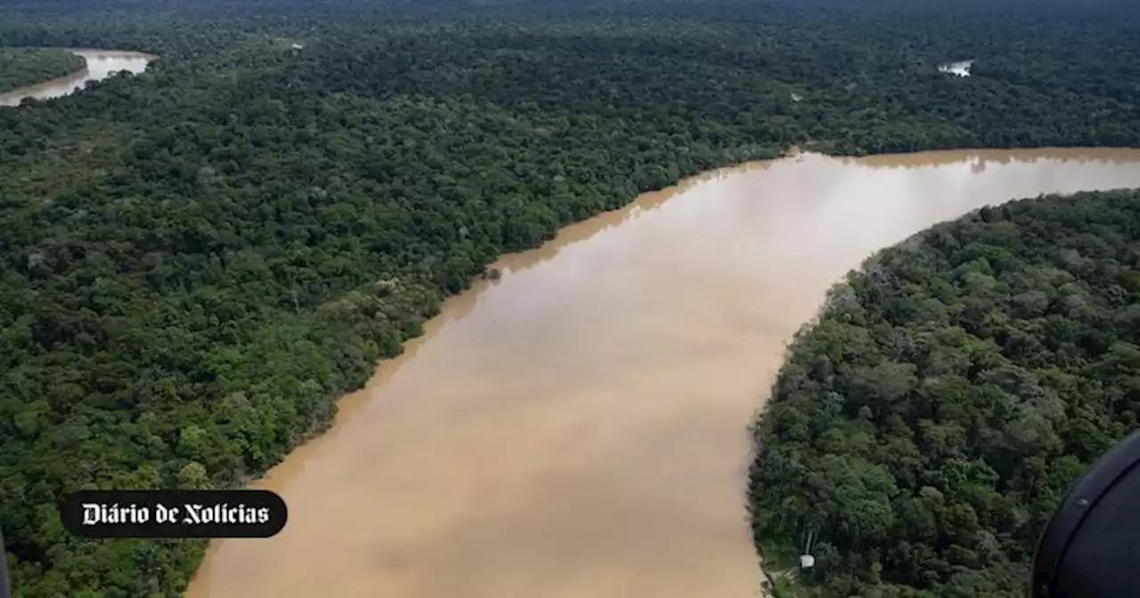 Governo brasileiro considera exageradas exigências ambientais da UE