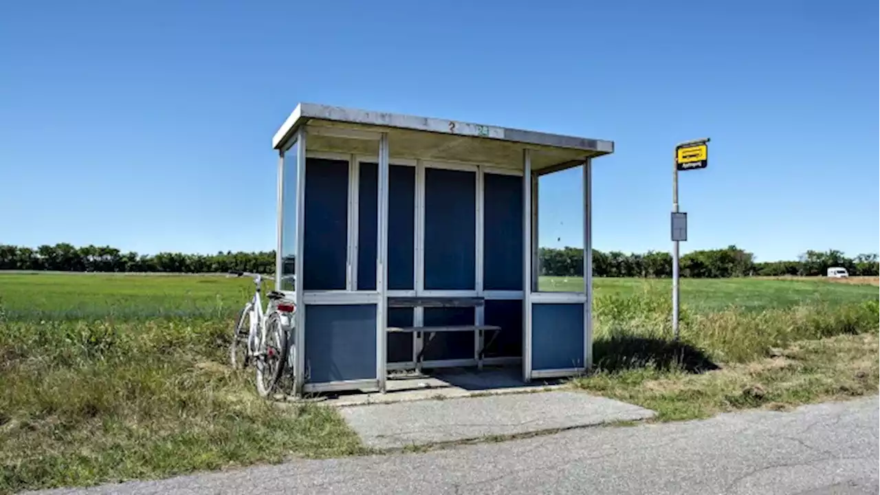 Partier i opråb til regeringen: Red busruter fra at blive nedlagt