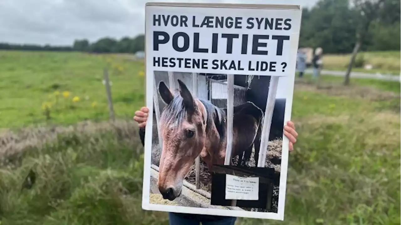 Rullende demonstration mod stutteriejer for misrøgt af heste