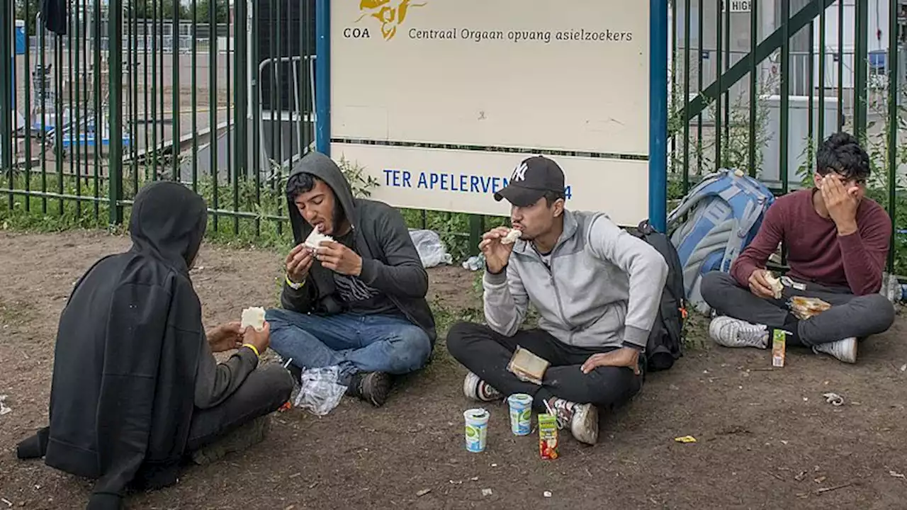 Ter Apel hoopt dat asielbeleid wordt doorgezet na val kabinet: 'Anders desastreus'