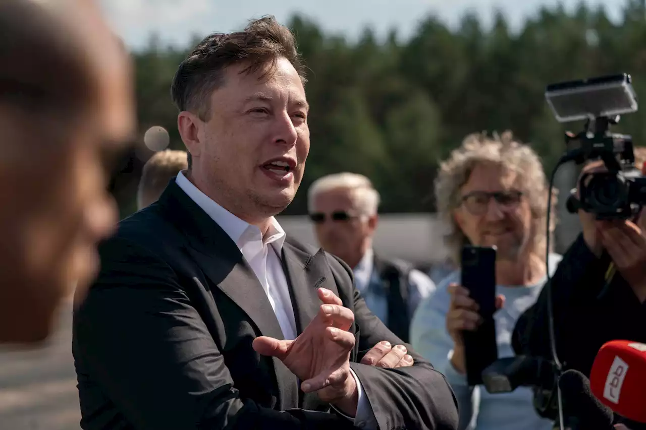 La fecha de la pelea entre Musk y Zuckerberg 'está en el aire'