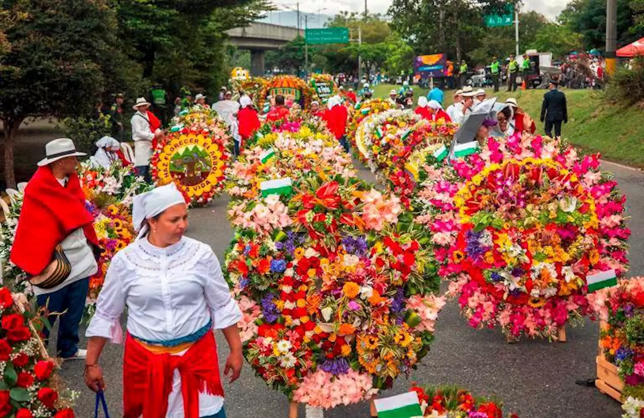 Recomendaciones si va a asistir al Desfile de Silleteros