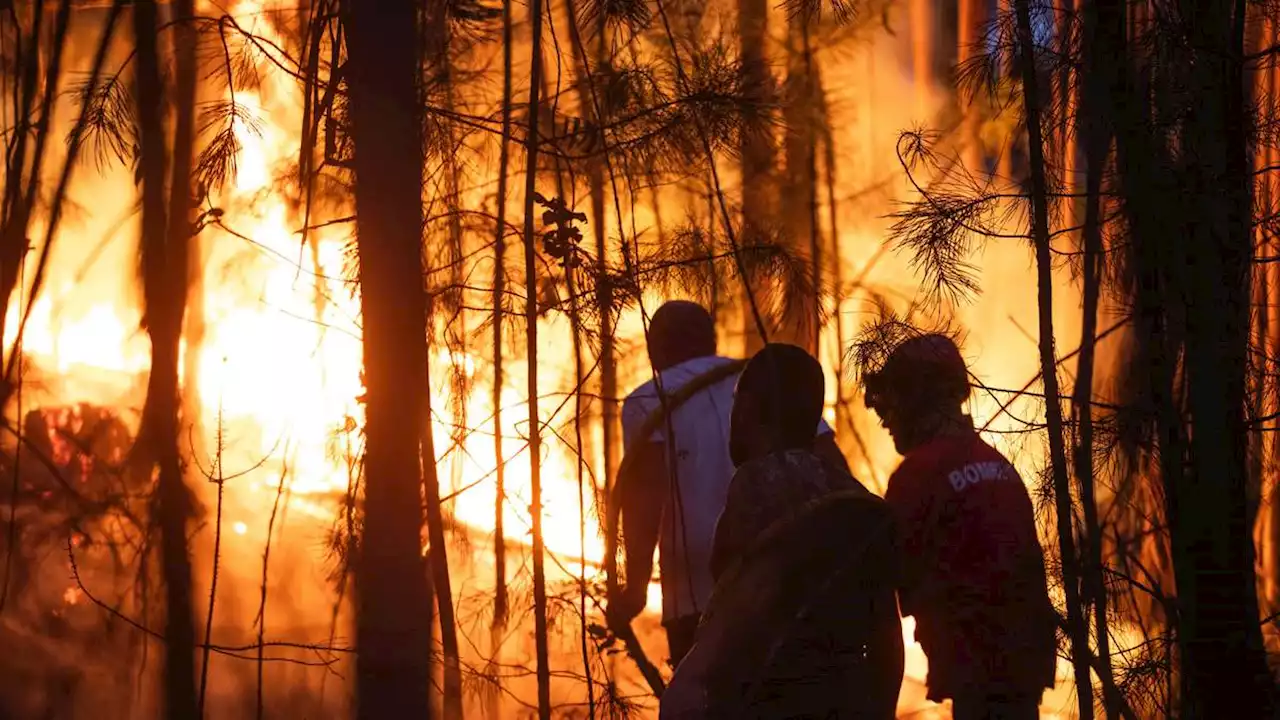 Incendio forestal destruyó 7.000 hectáreas en el centro de Portugal