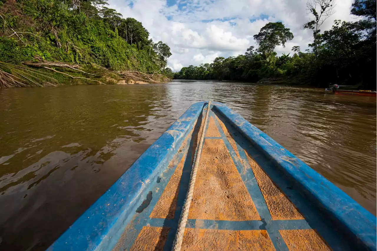 ¿Qué propondrá Colombia en la Cumbre de Brasil sobre la Amazonía?