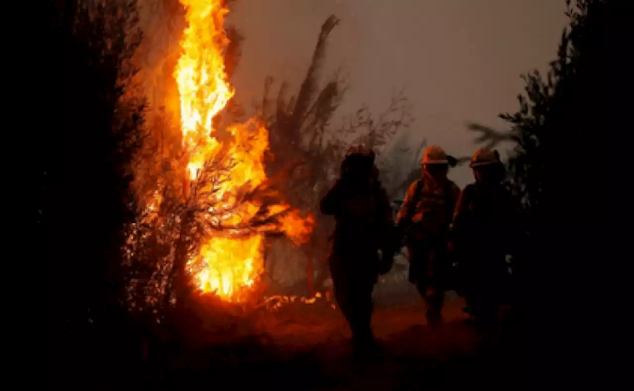 Evacuan a 600 personas en Cardeña, Italia por incendio