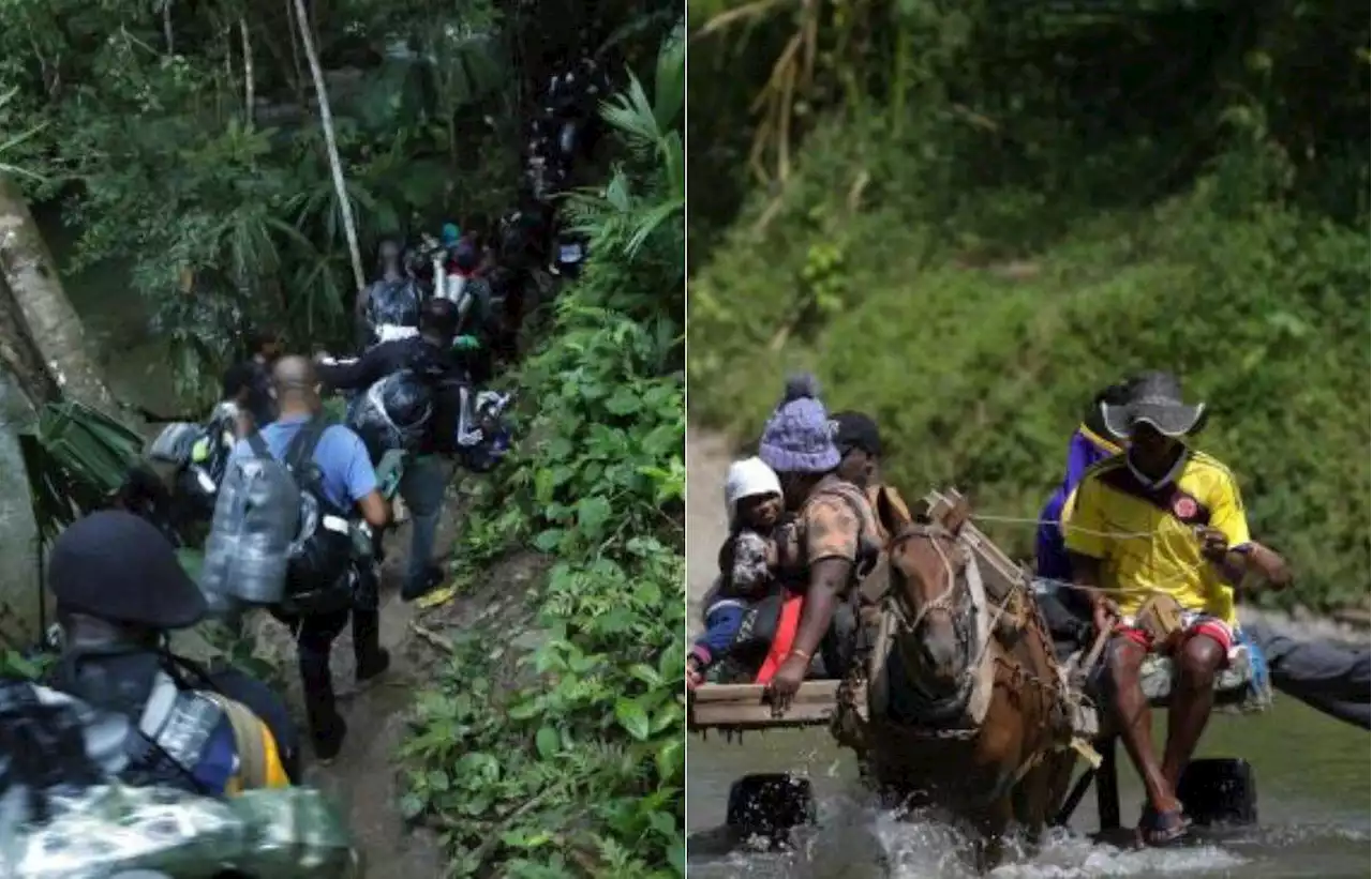 Panamá le reclama a Colombia por crisis migratoria en el Darién: 'No quiere colaborar'