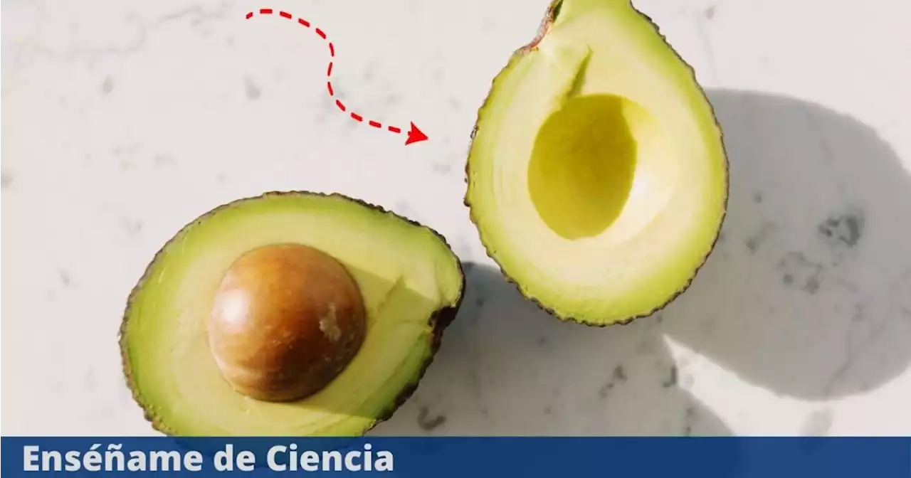 El truco secreto para que los aguacates no se pongan negros, aunque estén en el refrigerador