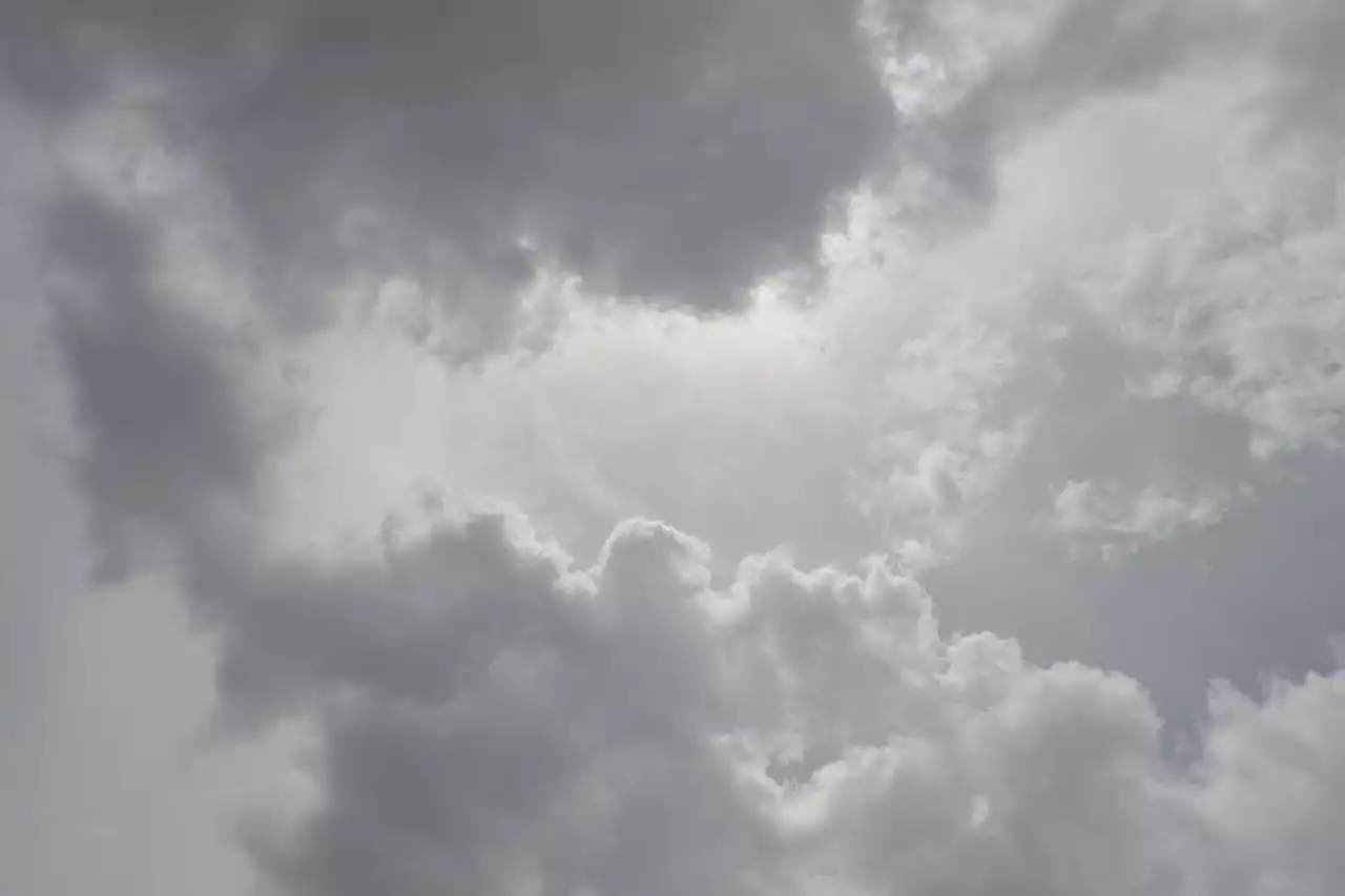 Météo et agriculture : après la sécheresse, les agriculteurs sont confrontés à une pluie persistante cet été, faut-il s’inquiéter ?