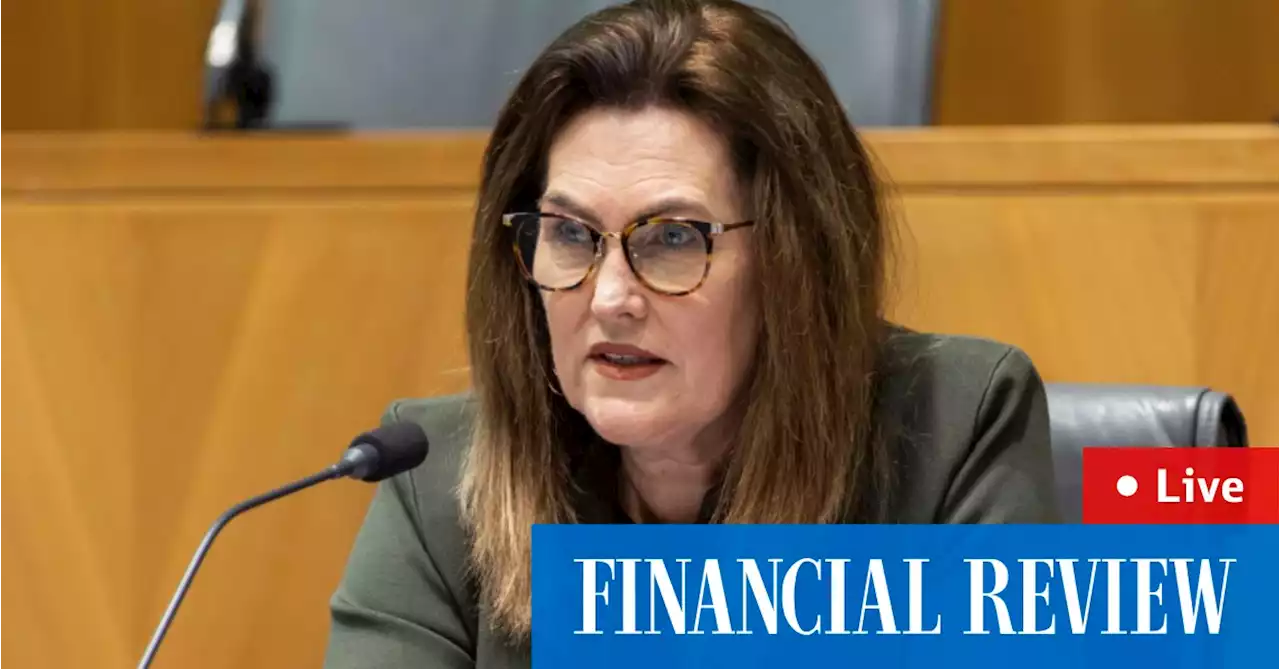 Deborah O’Neill says big four have operated without scrutiny for too long