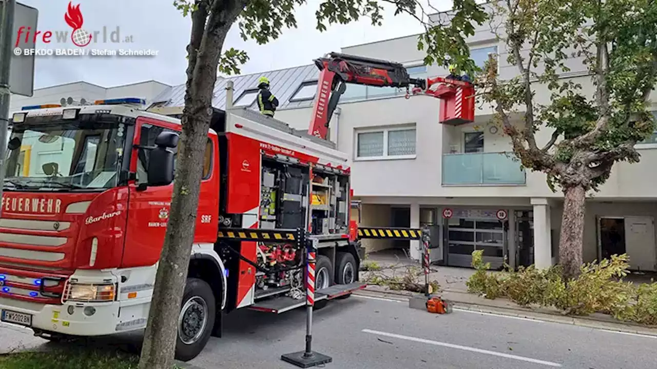 Nö: Sturmschaden sorgt für mehrstündige Sperre der Badnerbahnstrecke in Baden