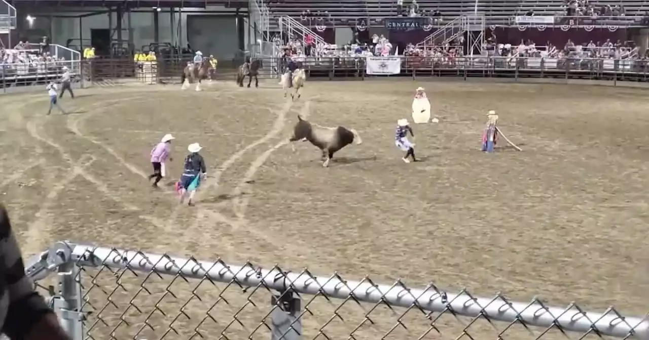 Bull wreaks havoc in parking lot, injures at least 2 after escaping Utah County rodeo arena