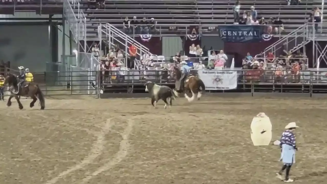 Bull Escapes Utah Fairgrounds, Charges Lieutenant Governor's Mom and Brother in Parking Lot