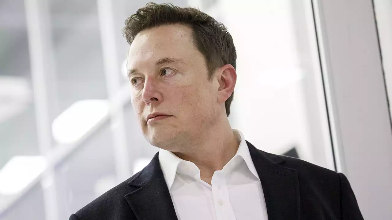 Elon Musk says he ‘may require surgery’ before fight with Mark Zuckerberg can happen