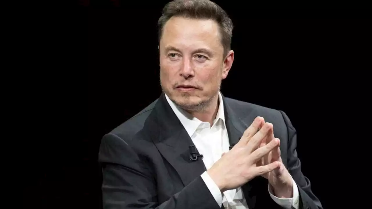 Elon Says Cage Match With Zuck Will Stream on Twitter—If It Happens