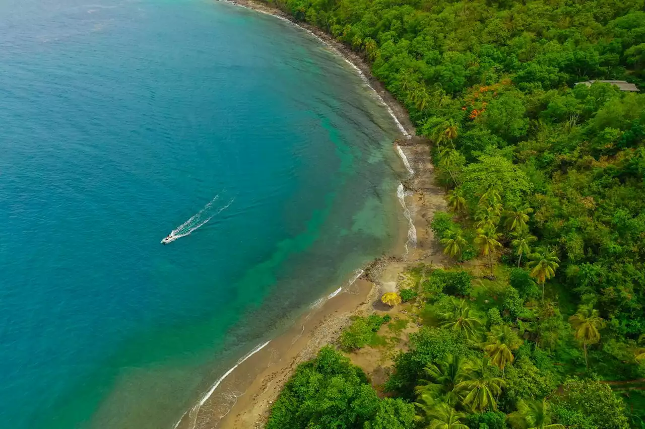 Dollarama executive’s plan to expand Saint Lucia property prompts outcry over lack of protections for UNESCO site