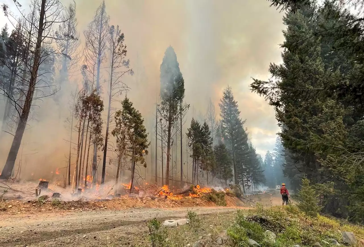 Thunderstorms may offer relief to B.C. firefighting efforts but lightning could spark new fires