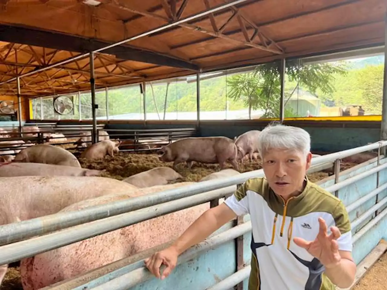 '돼지가 행복한' 동물복지 1호 농장주 '아직 갈 길 멀다'